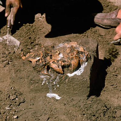 Nuevas metodologías para la gestión del patrimonio cultural